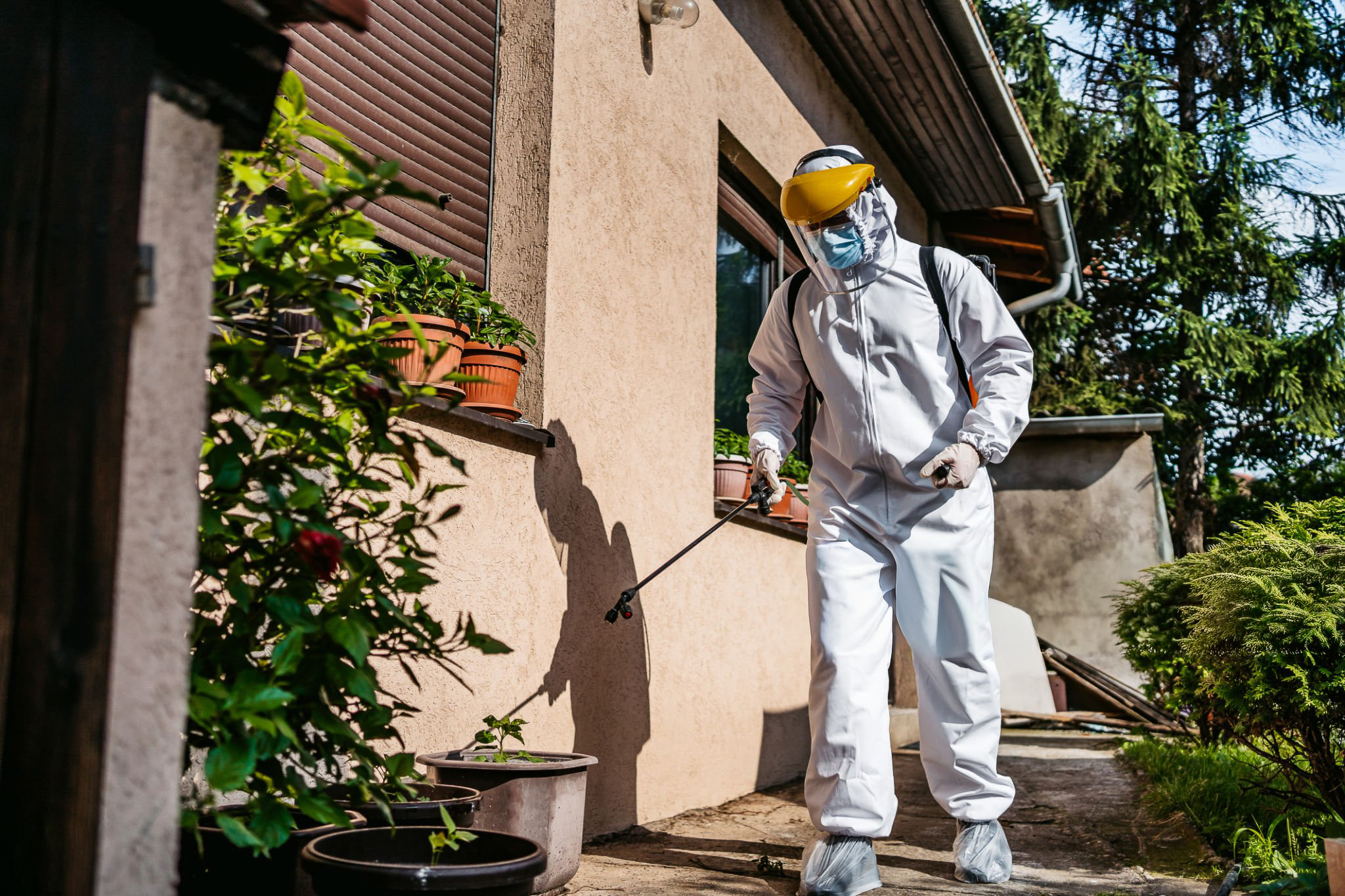 Termite Control