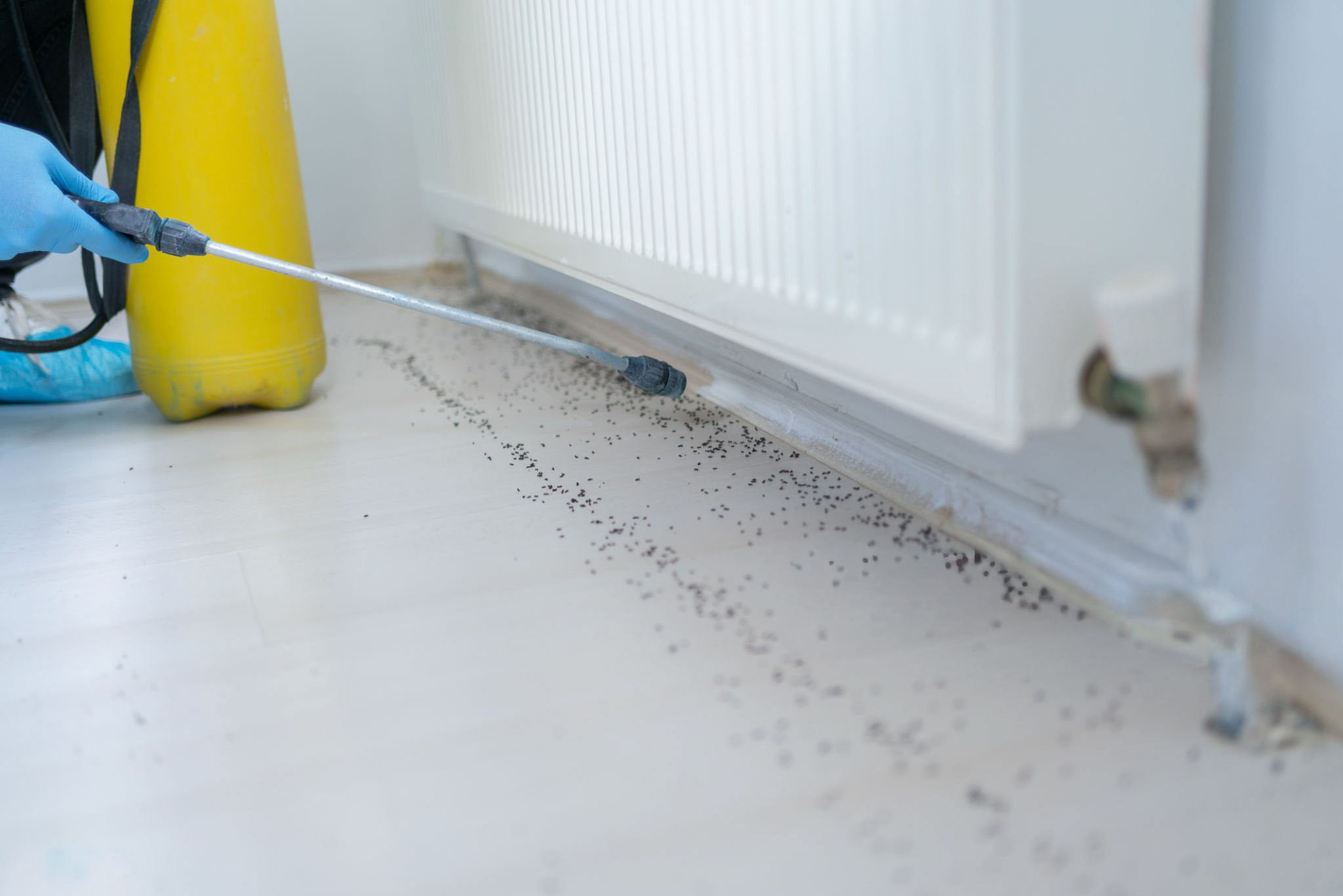 General Pest Control